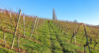 /album/kleeblattweg-3b-leutschach-5-dezember-2024/langegg-kleeblattweg-3b-05-12-2024-7-jpg/